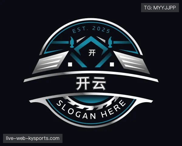 关于开云世界杯